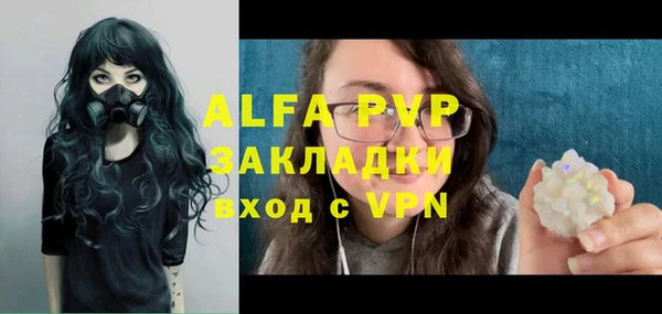 стафф Алзамай