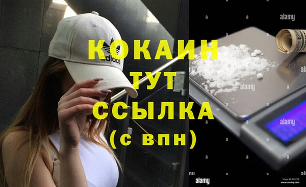 стафф Алзамай