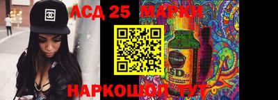 прущие грибы Апшеронск