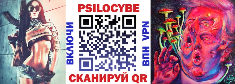 купить Ахтубинск Псилоцибиновые грибы Cubensis
